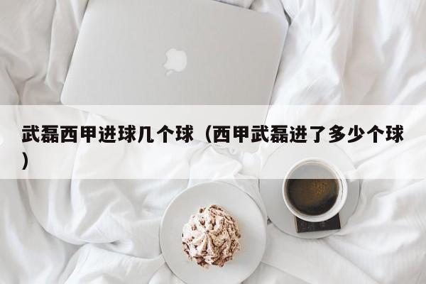 武磊西甲进球几个球（西甲武磊进了多少个球）