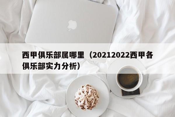 西甲俱乐部属哪里（20212022西甲各俱乐部实力分析）
