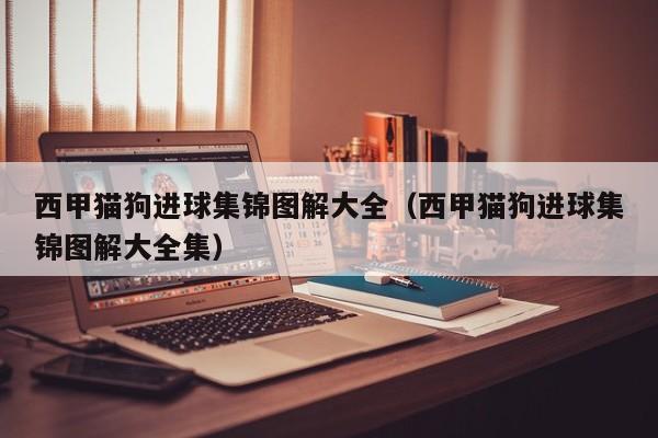 西甲猫狗进球集锦图解大全（西甲猫狗进球集锦图解大全集）