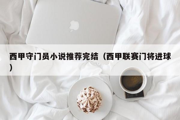 西甲守门员小说推荐完结（西甲联赛门将进球）