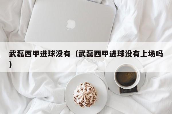 武磊西甲进球没有（武磊西甲进球没有上场吗）