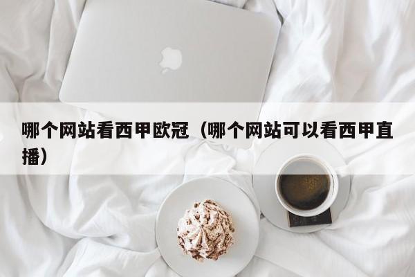 哪个网站看西甲欧冠（哪个网站可以看西甲直播）