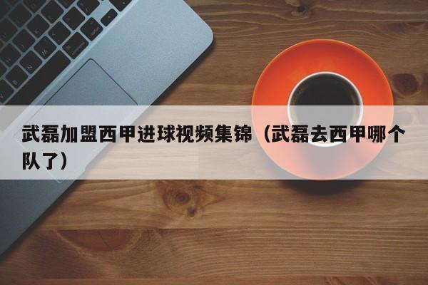 武磊加盟西甲进球视频集锦（武磊去西甲哪个队了）