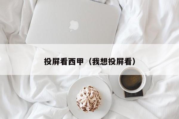 投屏看西甲（我想投屏看）