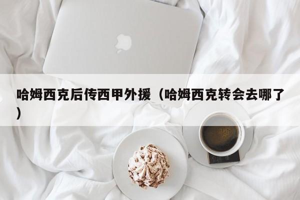 哈姆西克后传西甲外援（哈姆西克转会去哪了）
