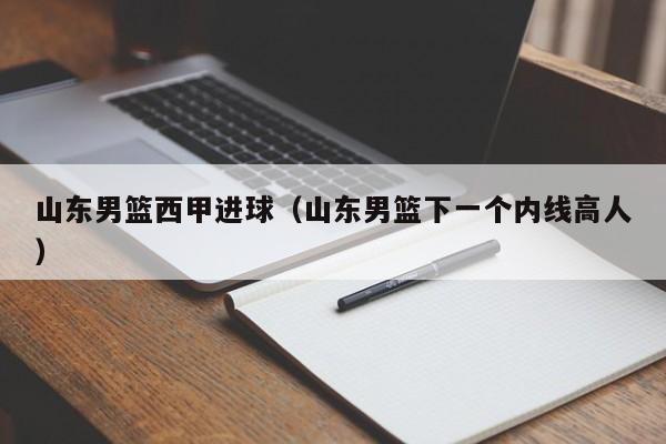 山东男篮西甲进球（山东男篮下一个内线高人）