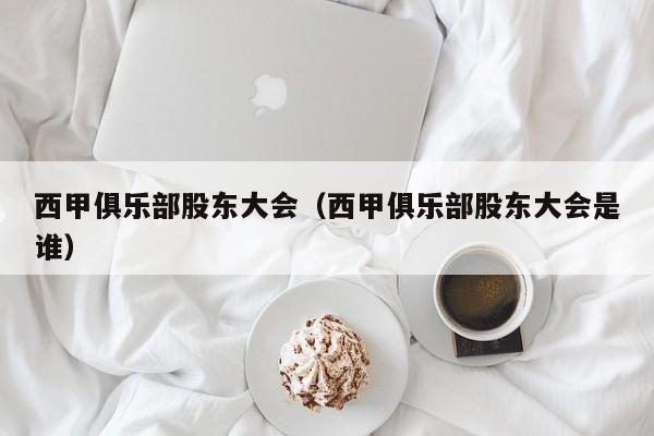 西甲俱乐部股东大会（西甲俱乐部股东大会是谁）
