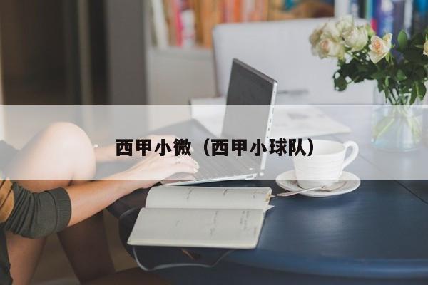 西甲小微（西甲小球队）