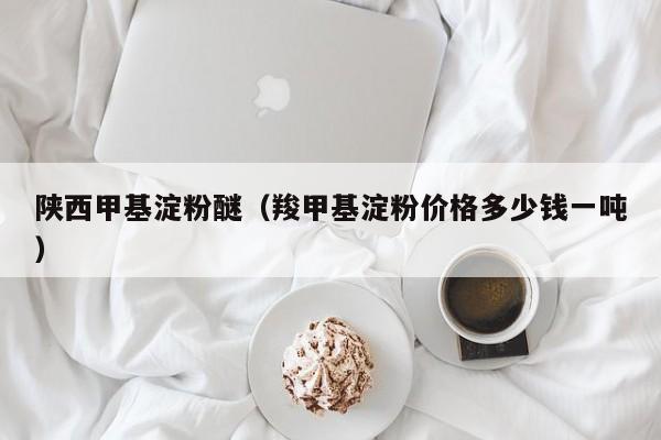 陕西甲基淀粉醚（羧甲基淀粉价格多少钱一吨）