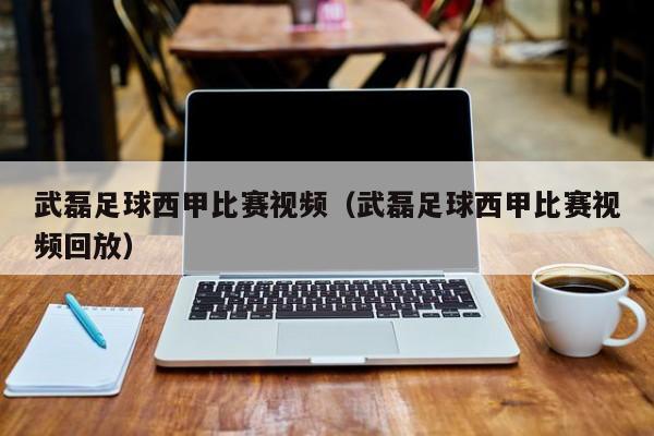 武磊足球西甲比赛视频（武磊足球西甲比赛视频回放）