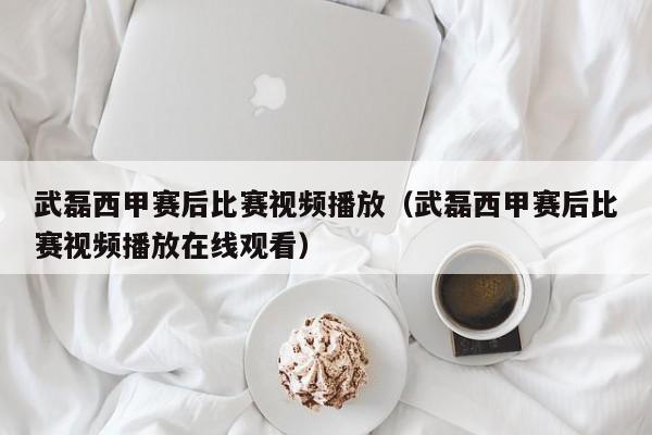 武磊西甲赛后比赛视频播放（武磊西甲赛后比赛视频播放在线观看）