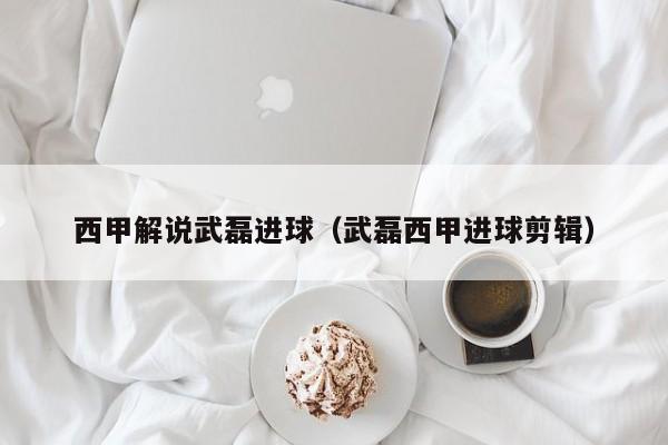 西甲解说武磊进球（武磊西甲进球剪辑）