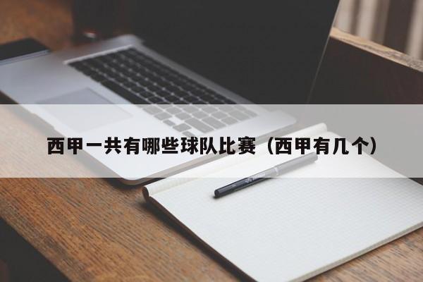 西甲一共有哪些球队比赛（西甲有几个）