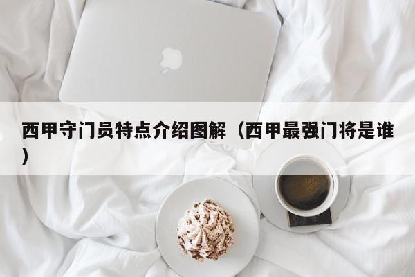 西甲守门员特点介绍图解（西甲最强门将是谁）