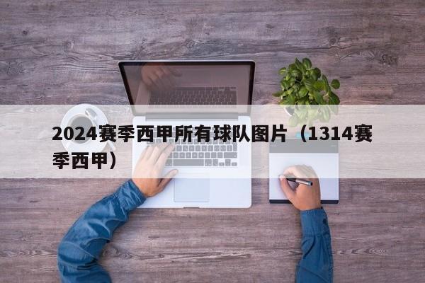 2024赛季西甲所有球队图片（1314赛季西甲）