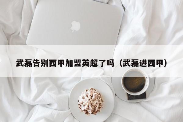 武磊告别西甲加盟英超了吗（武磊进西甲）