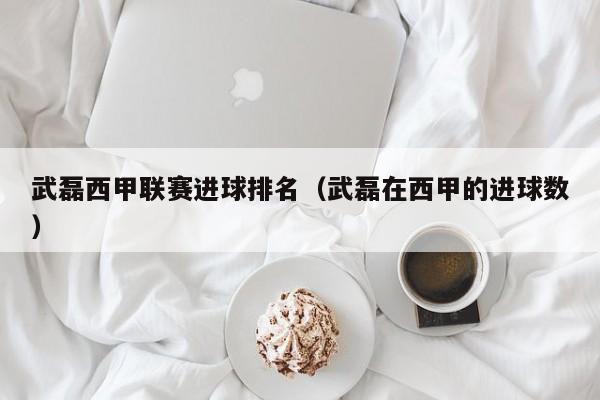 武磊西甲联赛进球排名（武磊在西甲的进球数）