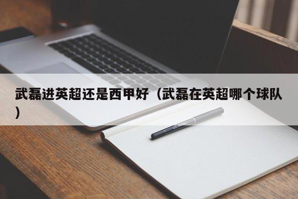 武磊进英超还是西甲好（武磊在英超哪个球队）