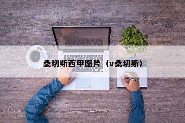 桑切斯西甲图片（v桑切斯）
