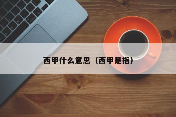 西甲什么意思（西甲是指）