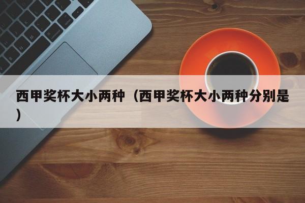 西甲奖杯大小两种（西甲奖杯大小两种分别是）