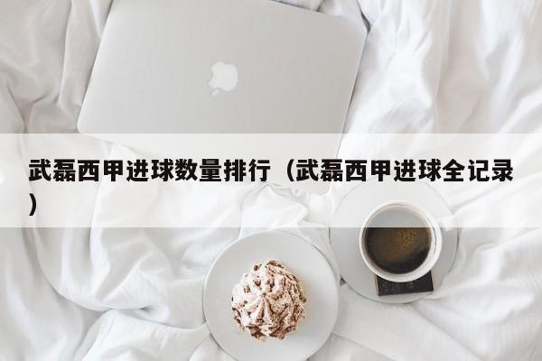 武磊西甲进球数量排行（武磊西甲进球全记录）