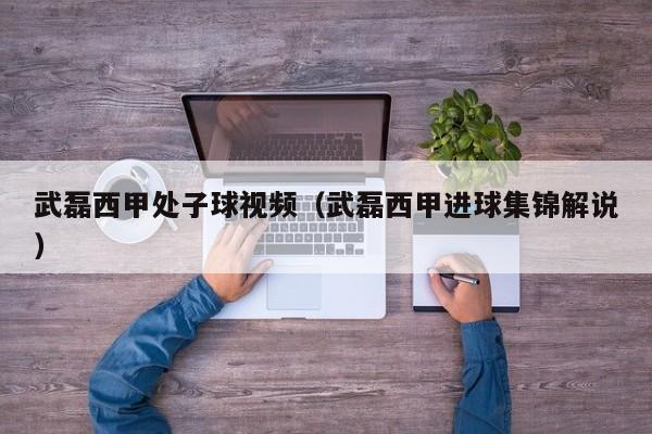 武磊西甲处子球视频（武磊西甲进球集锦解说）