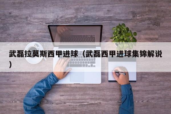 武磊拉莫斯西甲进球（武磊西甲进球集锦解说）