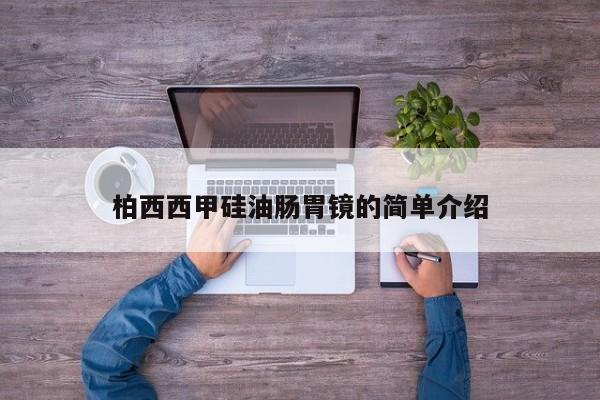 柏西西甲硅油肠胃镜的简单介绍