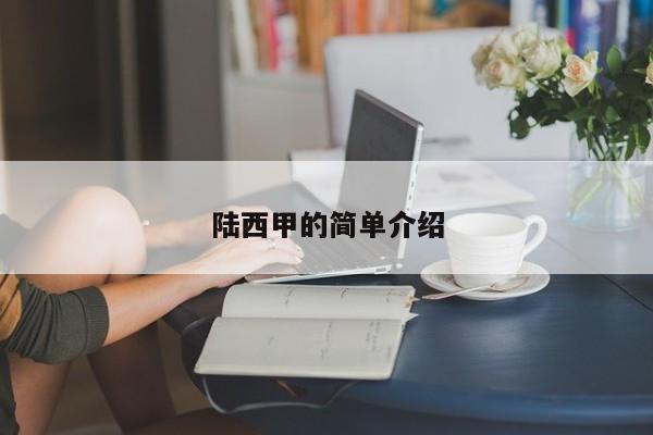 陆西甲的简单介绍