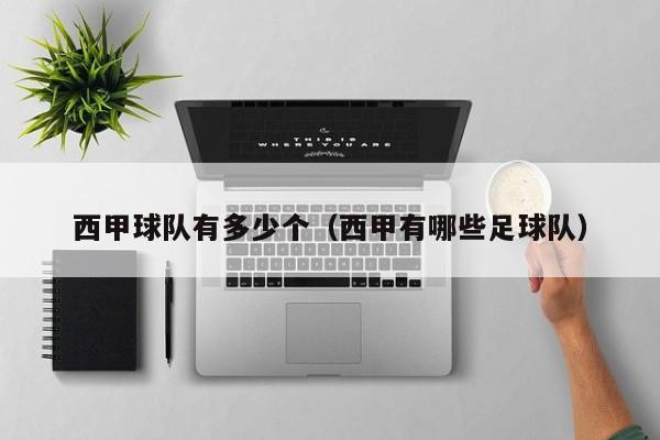西甲球队有多少个（西甲有哪些足球队）